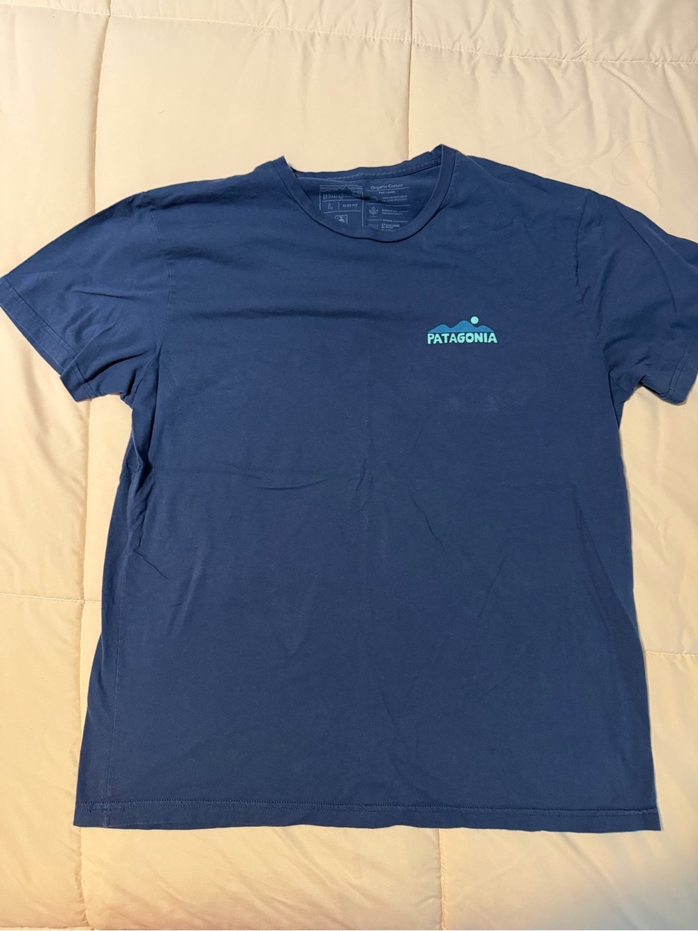 Patagonia Tshirt
